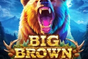 slot-endorphina-big-brown